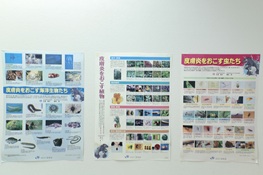 上野皮膚科御徒町台東アレルギー科壁面お知らせ２